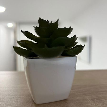 דירות Castellón de la Plana White House מראה חיצוני תמונה